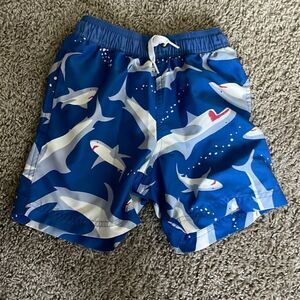 Hanna Andersson Swim Trunks